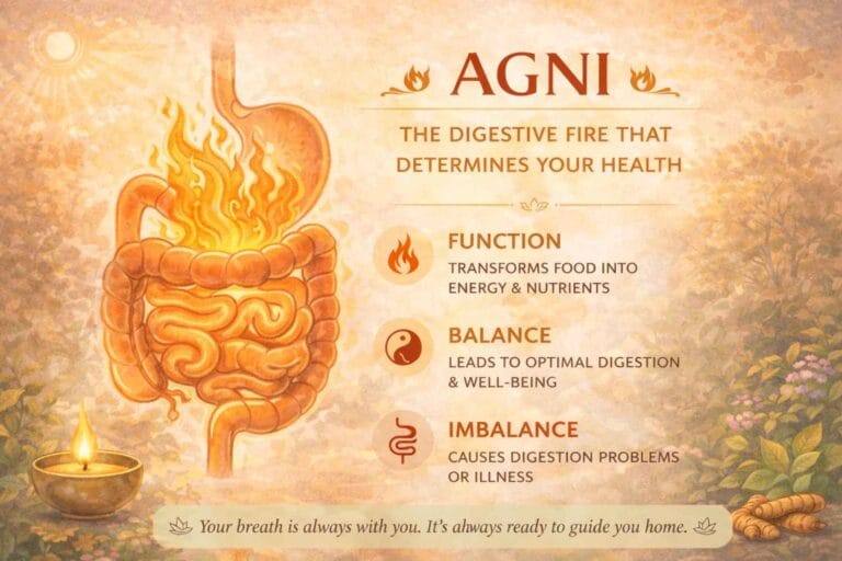 An Ayurvedic-style illustration of the human digestive system glowing with a bright internal flame, symbolizing Agni, surrounded by warm earthy tones, herbs, and a traditional oil lamp, representing digestion and vitality.